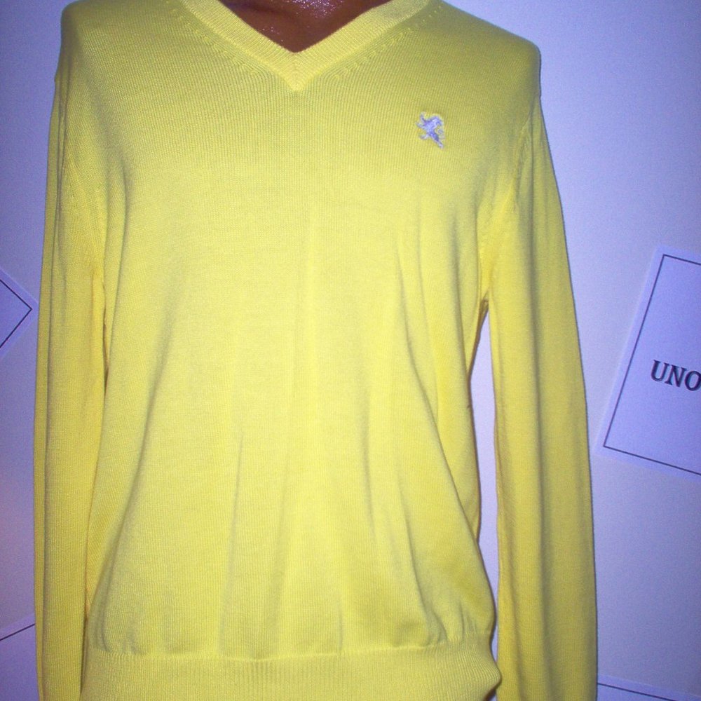 EXPRESS CANARY YELLOW MEN'S SWEATER, SIZE M (NWT)